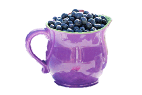 Blueberry Surprise